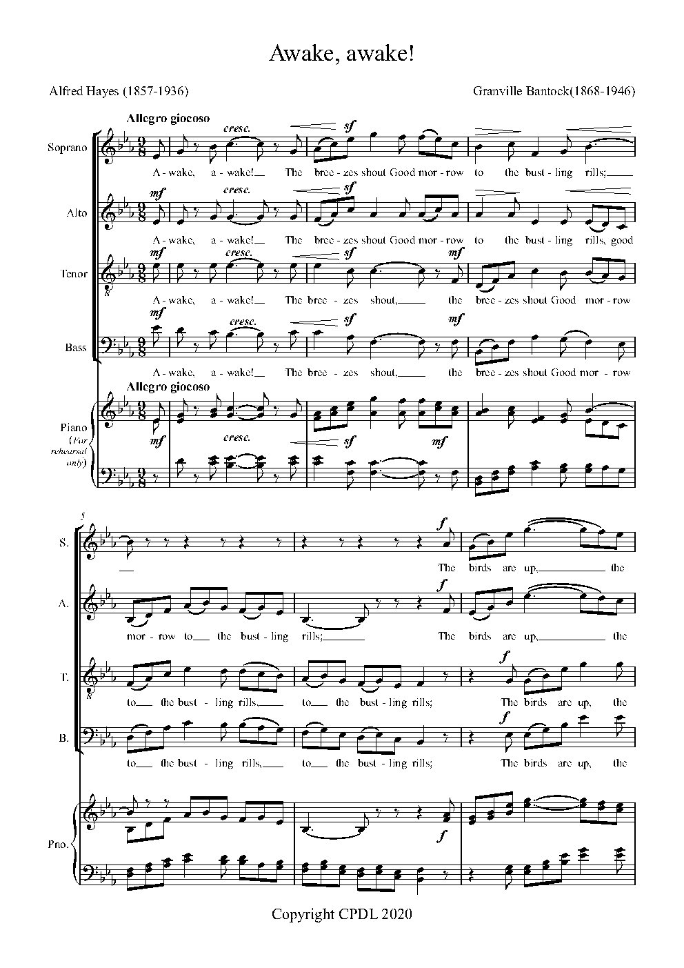 Awake, Awake - Choir Script PDF Thumbnail
