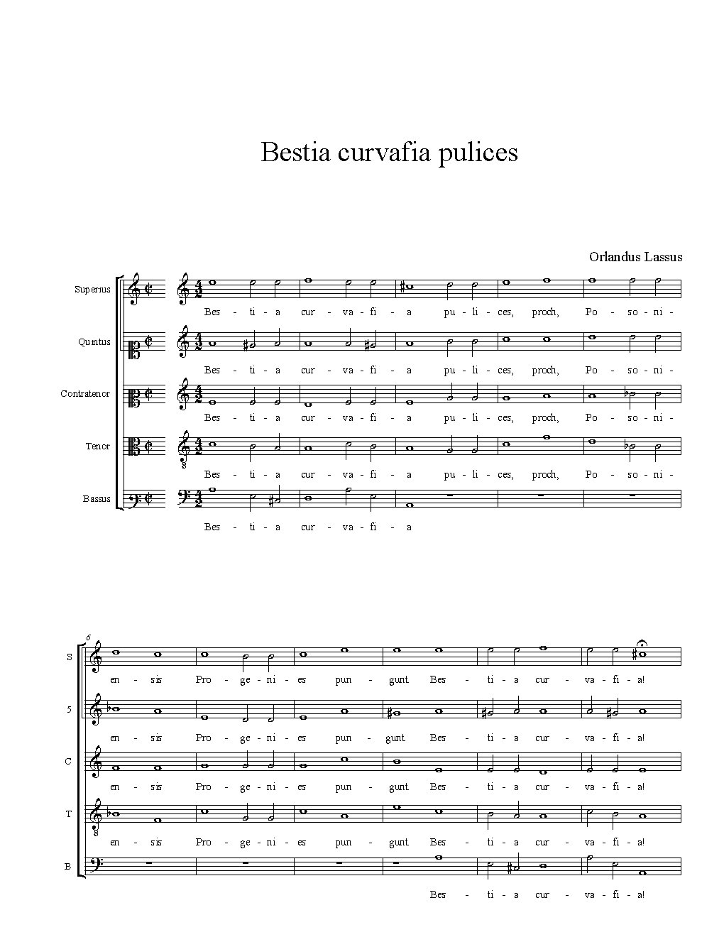 Bestia curvafia pulices