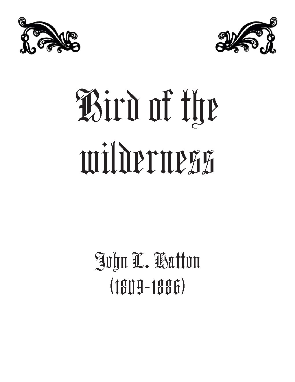 Bird of the wilderness