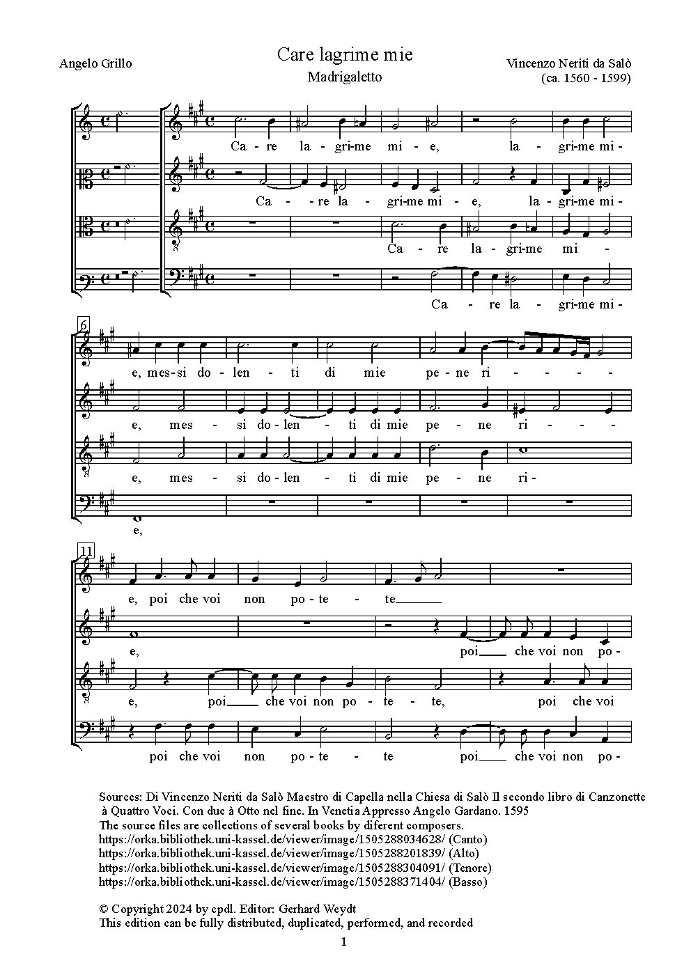 Care lagrime mie - Choir Script PDF Thumbnail