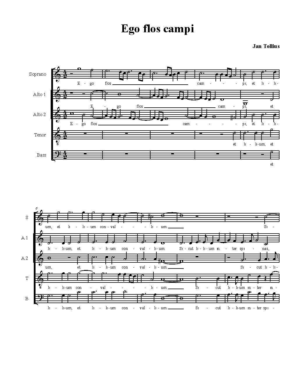 Ego flos campi - Choir Script PDF Thumbnail