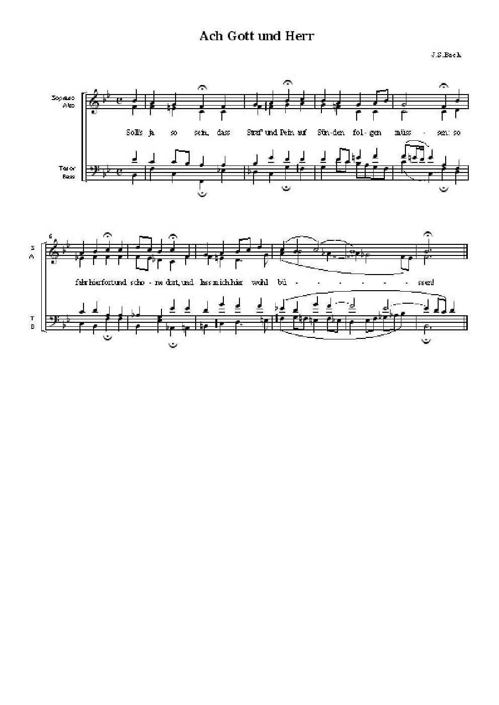 Ich elender Mensch, wer wird mich erlösen, BWV 48 - Choir Script PDF Thumbnail