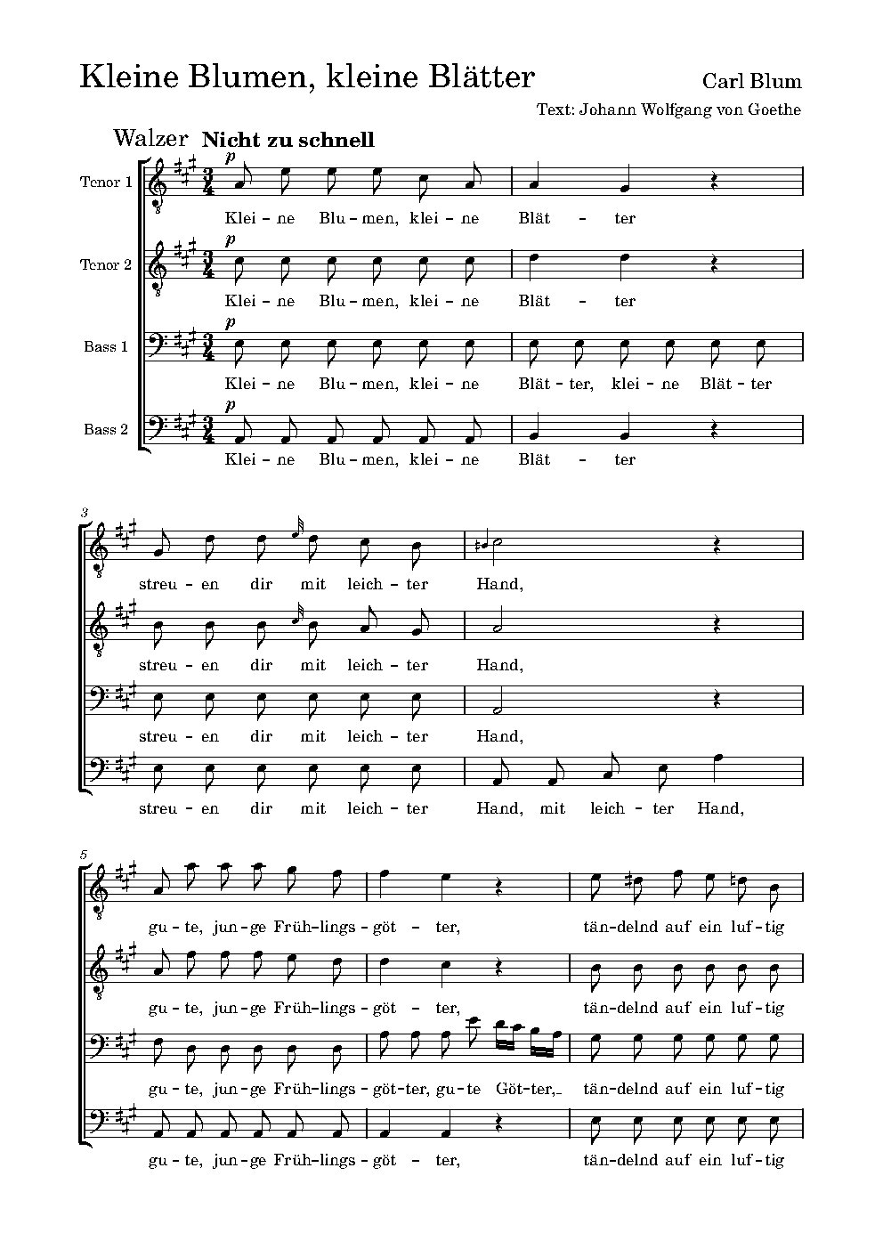 Kleine Blumen, kleine Blätter - Choir Script PDF Thumbnail