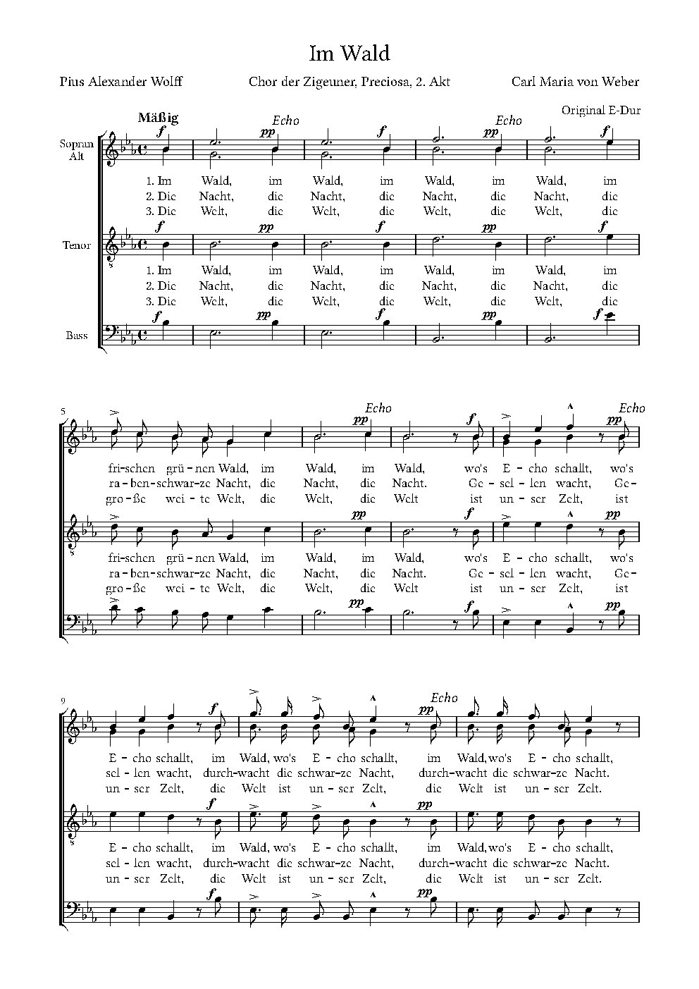 Im Wald (Preciosa) - Choir Script PDF Thumbnail