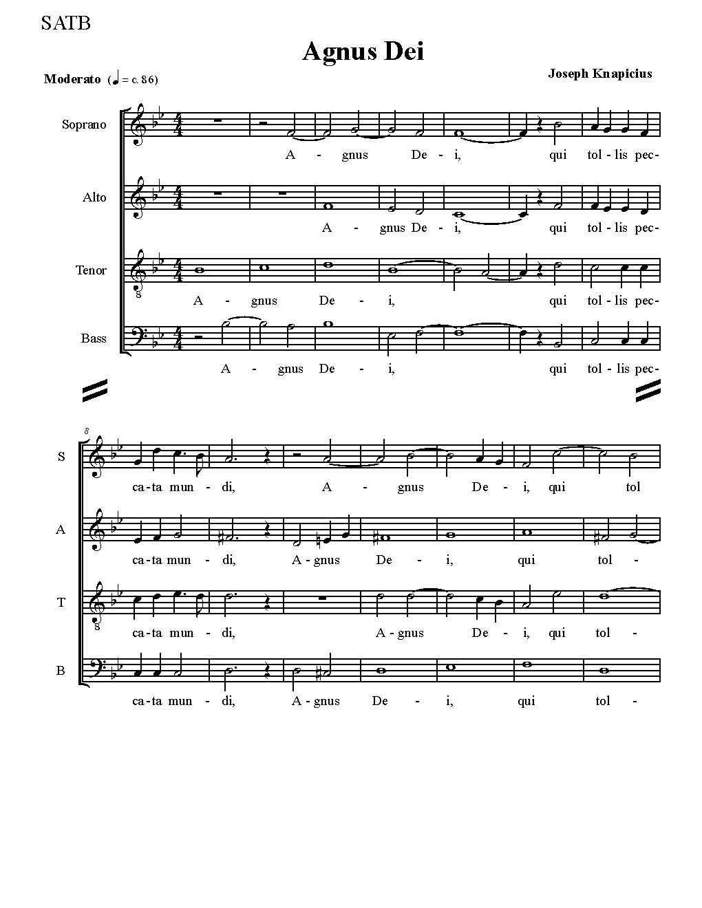 Agnus Dei A Celebration of Life! - Choir Script PDF Thumbnail